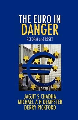 The Euro in Danger by Chadha, Jagjit S.