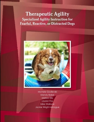 Therapeutic Agility by Godlevski, Michele