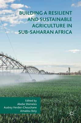 Building a Resilient and Sustainable Agriculture in Sub-Saharan Africa by Shimeles, Abebe