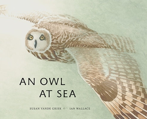 An Owl at Sea by Vande Griek, Susan