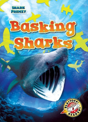 Basking Sharks by Pettiford, Rebecca