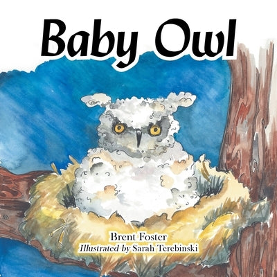 Baby Owl by Foster, Brent