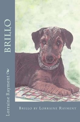 Brillo by Rayment, Lorraine