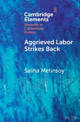 Aggrieved Labor Strikes Back: Inter-Sectoral Labor Mobility, Conditionality, and Unrest Under IMF Programs by Metinsoy, Saliha