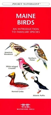 Maryland & DC Birds: A Folding Pocket Guide to Familiar Species by Kavanagh, James