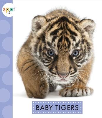 Baby Tigers by Kelley, K. C.