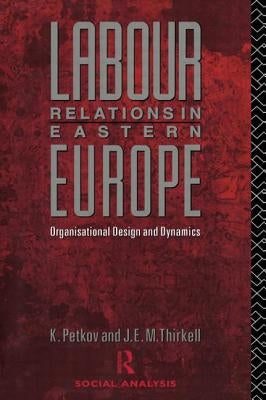 Labour Relations in Eastern Europe: Organisational Design and Dynamics by Petkov, Krastya