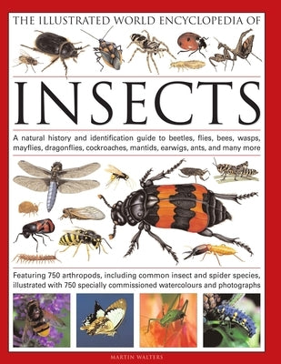 The Illustrated World Encyclopedia of Insects: A Natural History and Identification Guide to Beetles, Flies, Bees, Wasps, Springtails, Mayflies, Stone by Walters, Martin