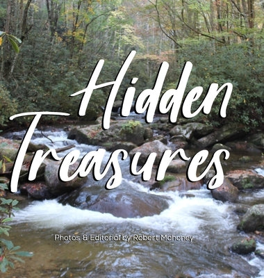 Hidden Treasures: An Illustrated Guide to Finding Happiness & Healing in Nature by Mahoney, Robert L.