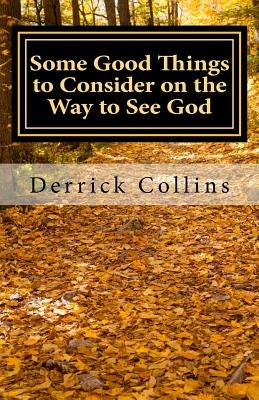 Some Good Things to Consider on the Way to See God by Collins, Derrick