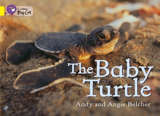The Baby Turtle: Band 03/Yellow by Belcher, Andy