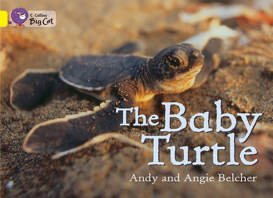 The Baby Turtle: Band 03/Yellow by Belcher, Andy