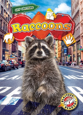 Raccoons by Rathburn, Betsy