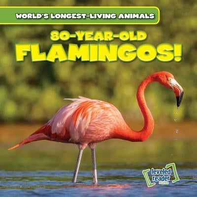 80-Year-Old Flamingos! by Kelly, Joni