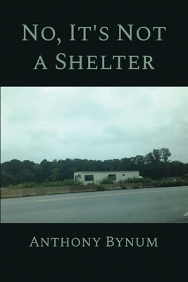 No, It's Not a Shelter by Bynum, Anthony