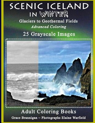 Scenic Iceland in Winter: Glaciers to Geothermal Fields: Advanced Coloring 25 Grayscale Images by Warfield, Elaine