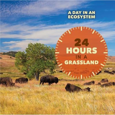 24 Hours in a Grassland by Bjorklund, Ruth