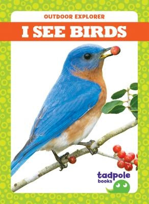 I See Birds by Mayerling, Tim