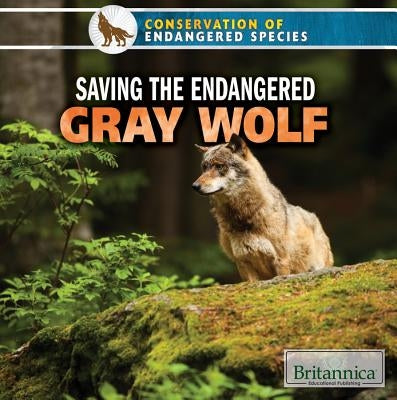 Saving the Endangered Gray Wolf by Saxena, Shalini