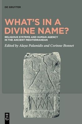 What's in a Divine Name?: Religious Systems and Human Agency in the Ancient Mediterranean by Palamidis, Alaya