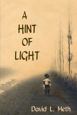 A Hint of Light by Meth, David L.
