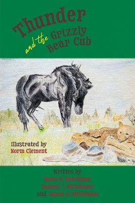 Thunder and the Grizzly Bear Cub by Stitchman, Rosie R.