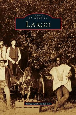 Largo by Schnur, James Anthony