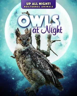 Owls at Night by Klatte, Kathleen A.