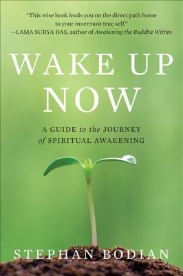 Wake Up Now by Bodian, Stephan