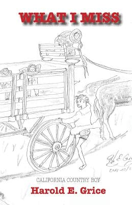 What I Miss by Mountrey, Barbara J.