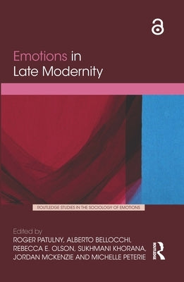 Emotions in Late Modernity by Patulny, Roger