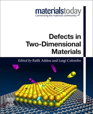 Defects in Two-Dimensional Materials by Addou, Rafik