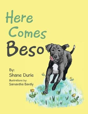 Here Comes Beso by Durie, Shane