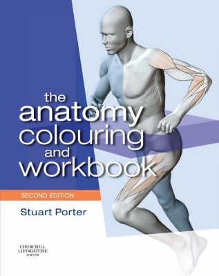 The Anatomy Colouring and Workbook by Porter, Stuart