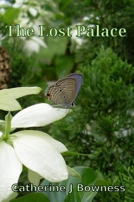 The Lost Palace by Bowness, Catherine