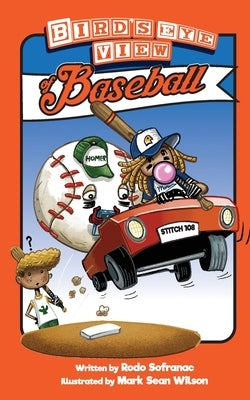 Birds Eye View of Baseball by Sofranac, Rodo