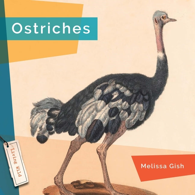 Ostriches by Gish, Melissa
