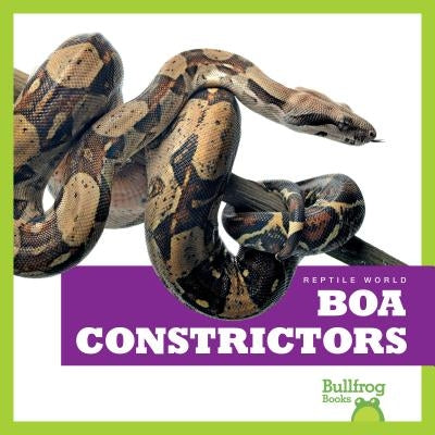 Boa Constrictors by Kingsley, Imogen