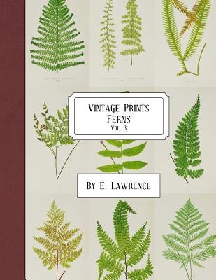 Vintage Prints: Ferns: Vol. 3 by Lawrence, E.