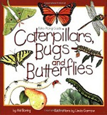 Caterpillars, Bugs and Butterflies: Take-Along Guide by Boring, Mel