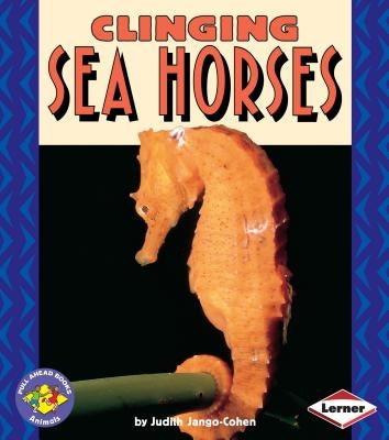 Clinging Sea Horses by Jango-Cohen, Judith