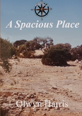 A Spacious Place by Harris, Olwyn