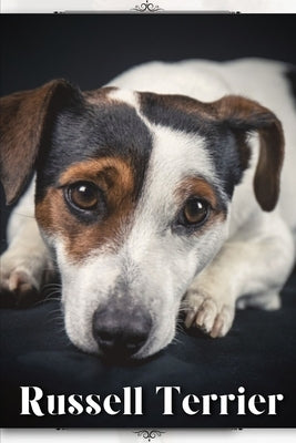 Russell Terrier: Dog breed overview and guide by Pustova, Nina