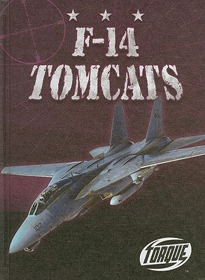 F-14 Tomcats by David, Jack