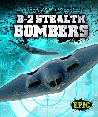 B-2 Stealth Bombers by Finn, Denny Von