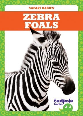 Zebra Foals by Nilsen, Genevieve