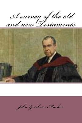 A survey of the old and new testaments by Machen, John Gresham