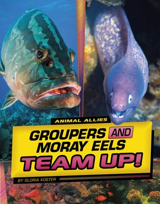 Groupers and Moray Eels Team Up! by Koster, Gloria