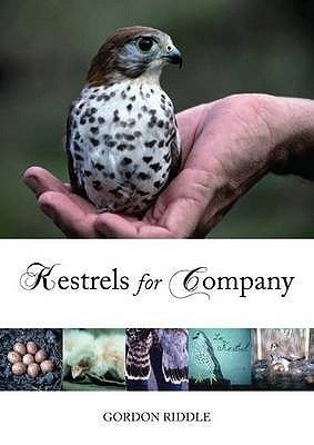 Kestrels for Company by Riddle, Gordon