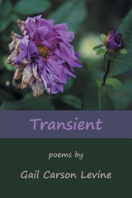 Transient by Levine, Gail Carson
